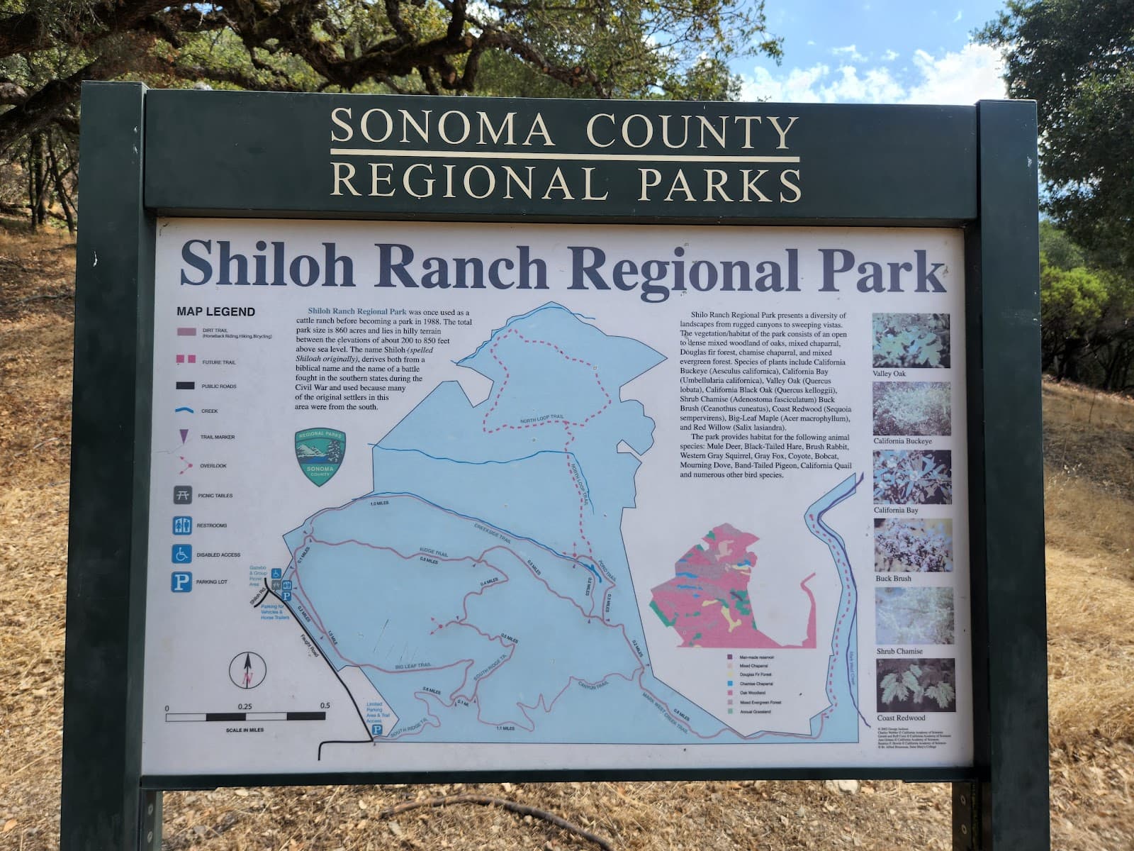 Shiloh Ranch Regional Park - Image 1