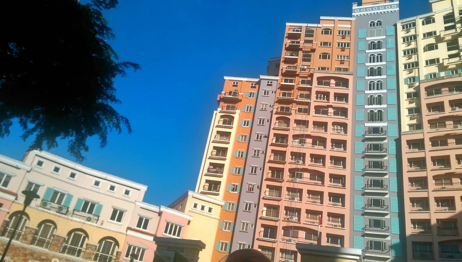 Vertical photo