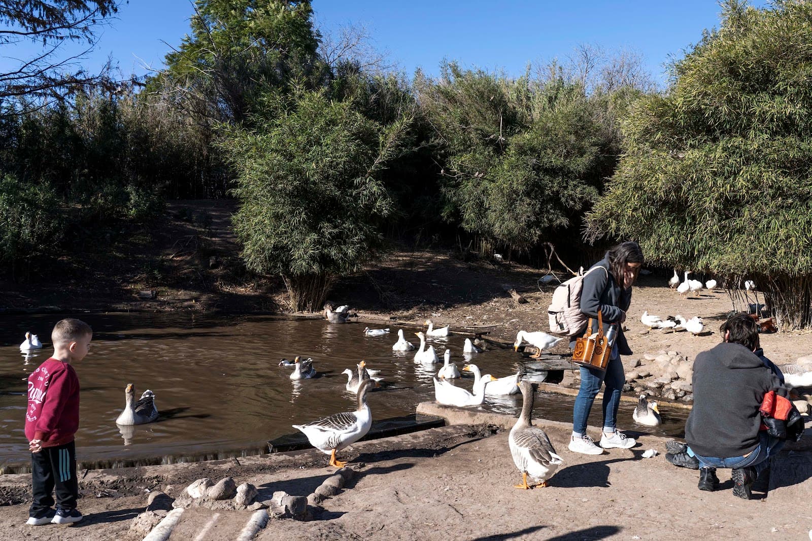 La Granja de la Infancia - Image 1