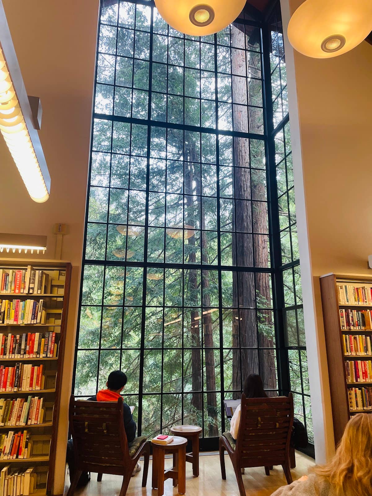 Vertical photo