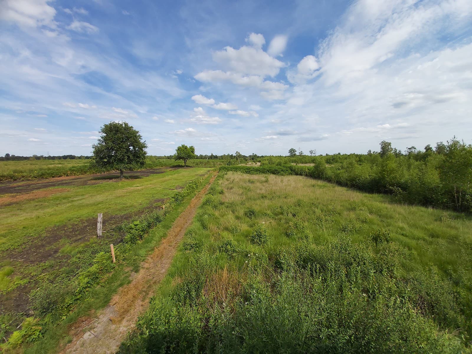 Aamsveen - Image 1