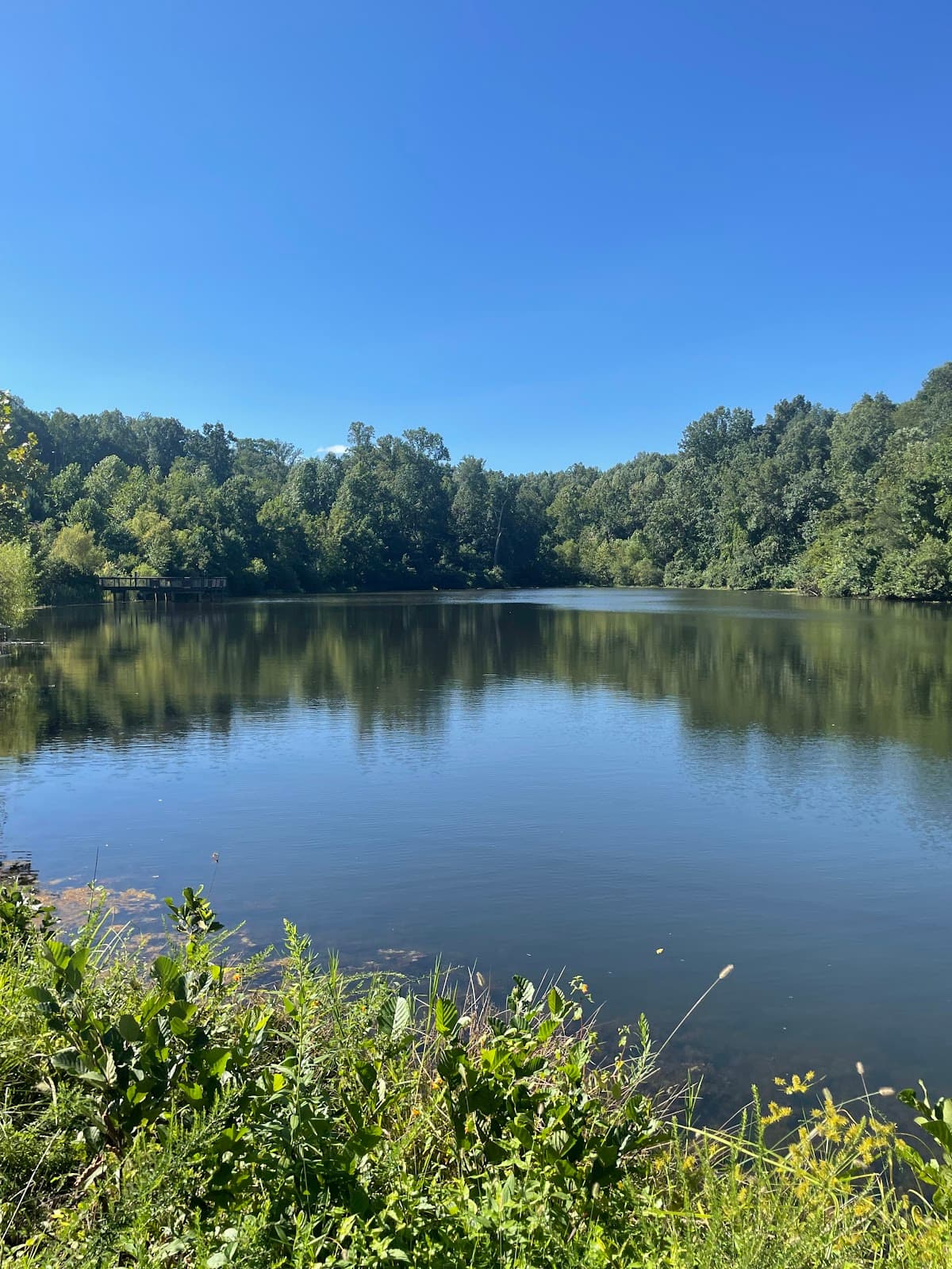 Ivy Creek Park - Image 1