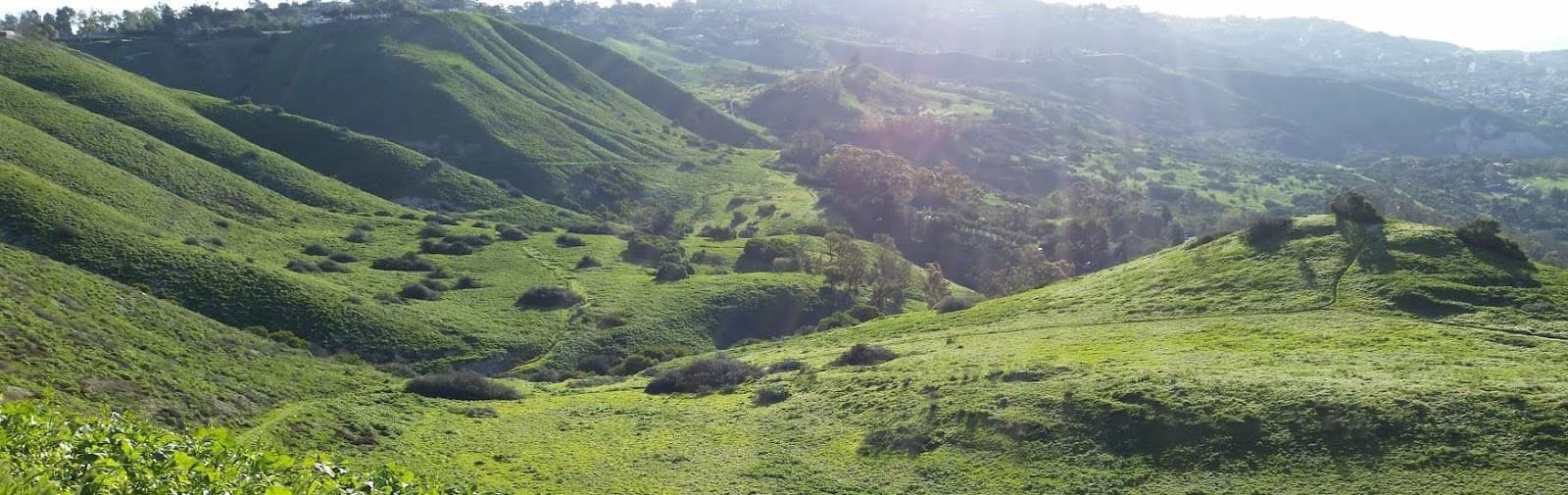 Filiorum Reserve - Image 1