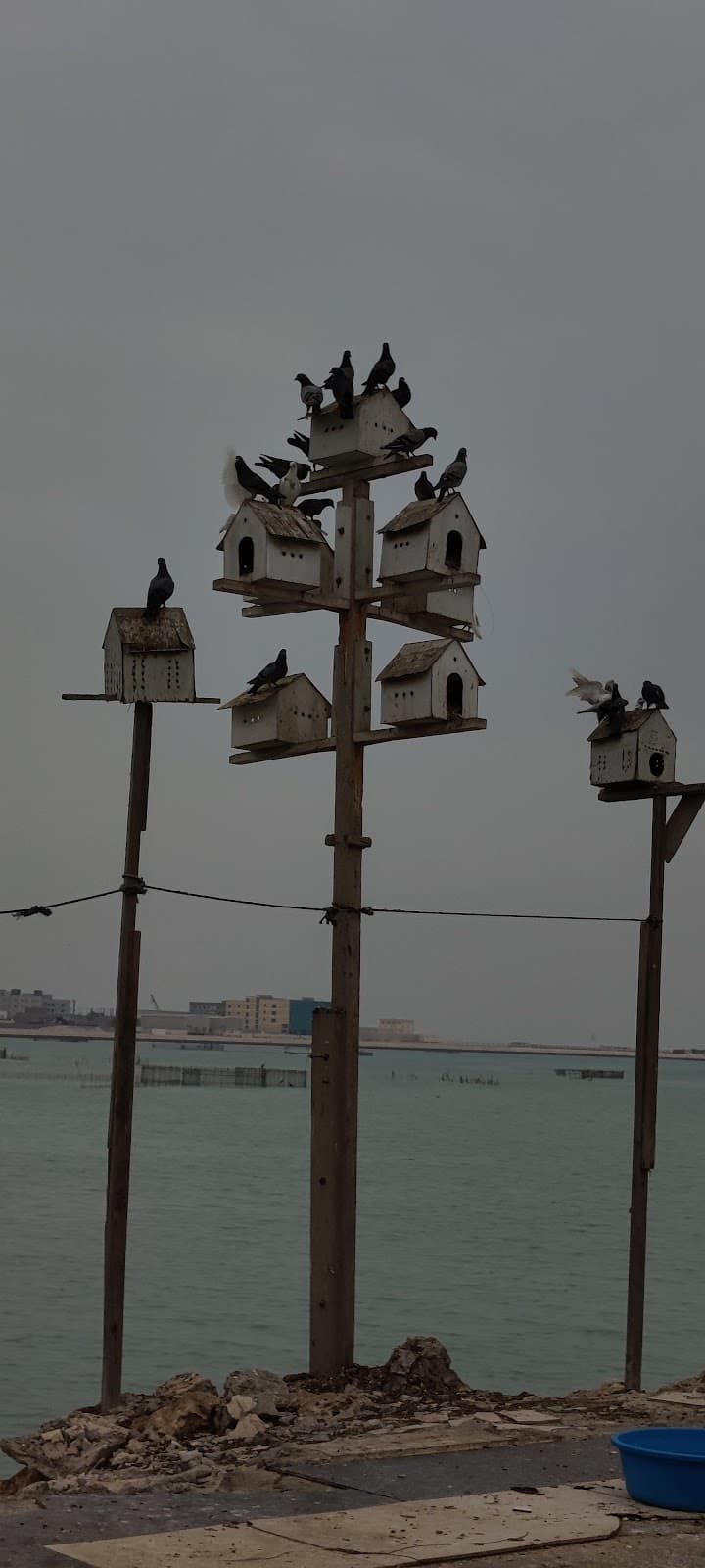 Hidd Beach - Image 1