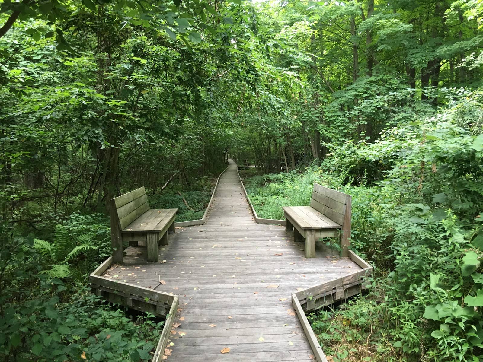 Accessible Boardwalks