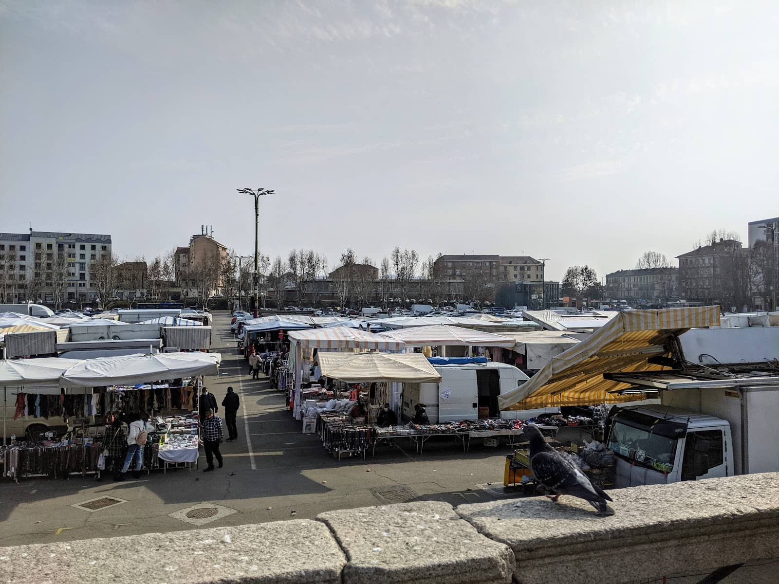 The Palio Horse Race