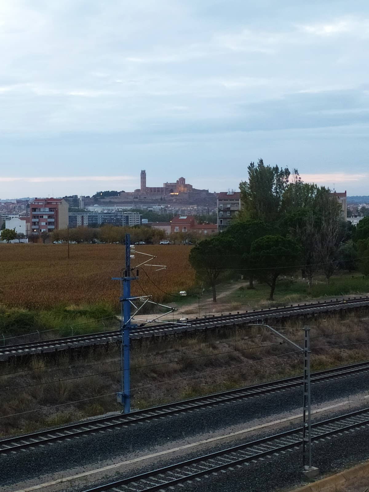 Local Parks and Green Spaces