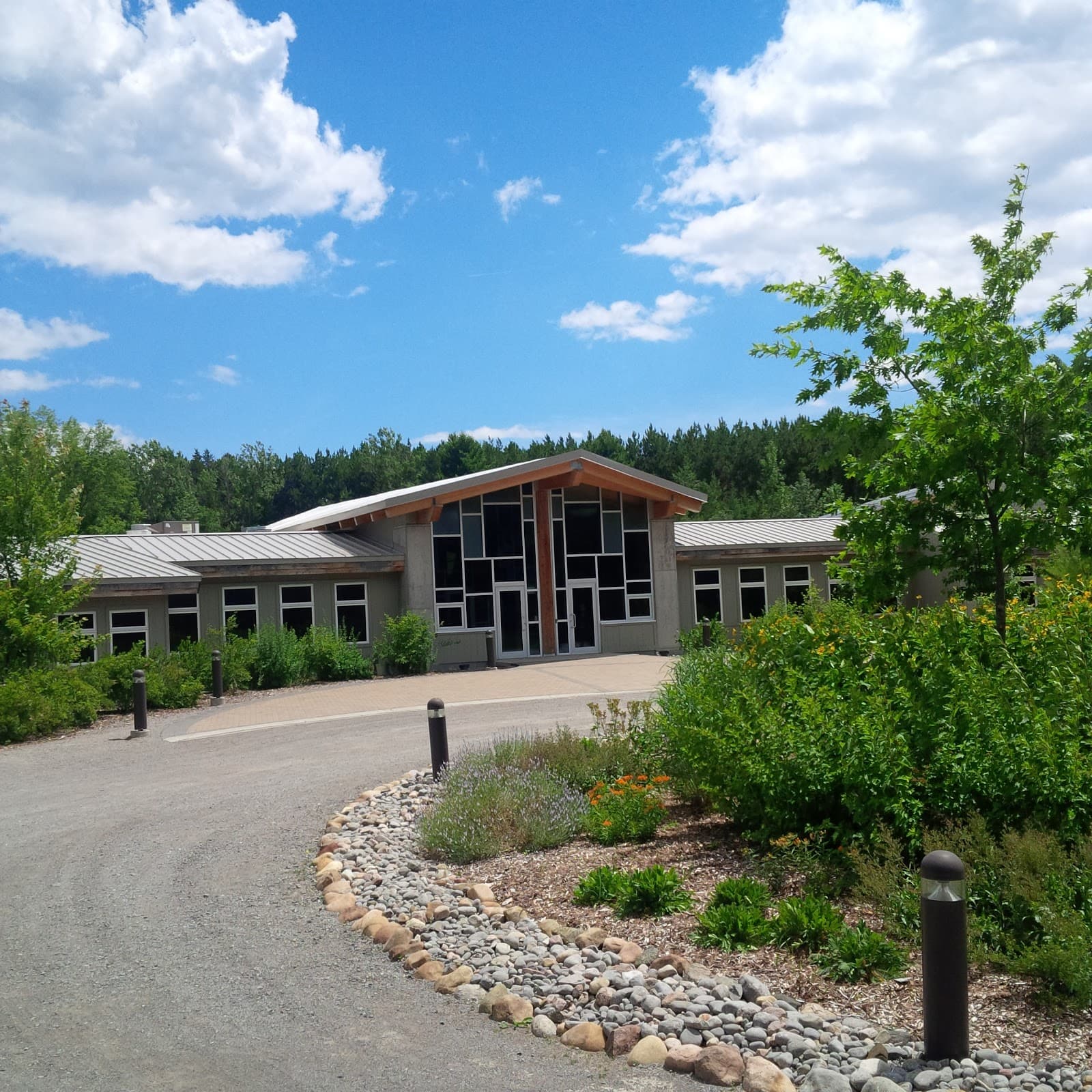 Ganaraska Forest - Image 1