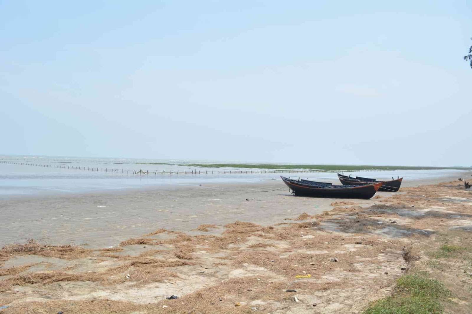 Dariapur Lighthouse