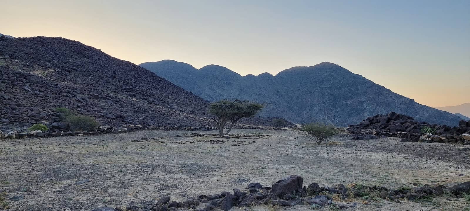 Tranquil Picnic Spots