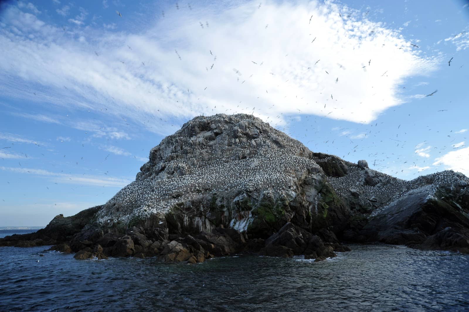 Scenic Archipelago Cruise