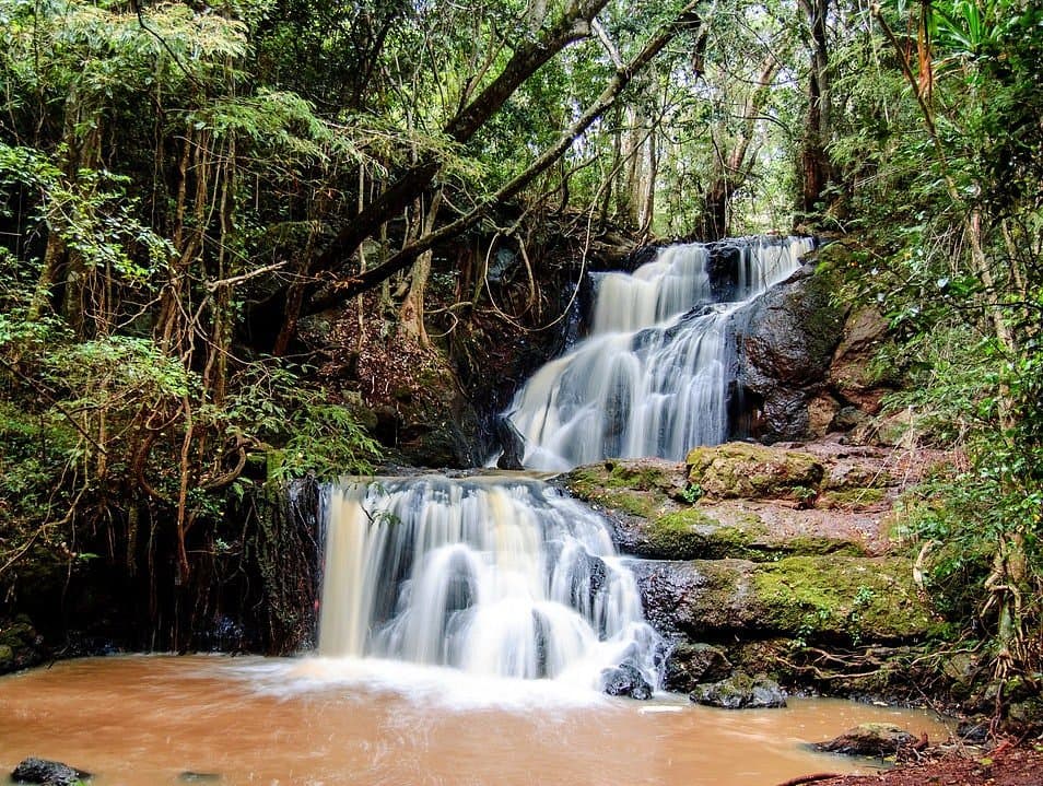 Karura Forest - Image 1