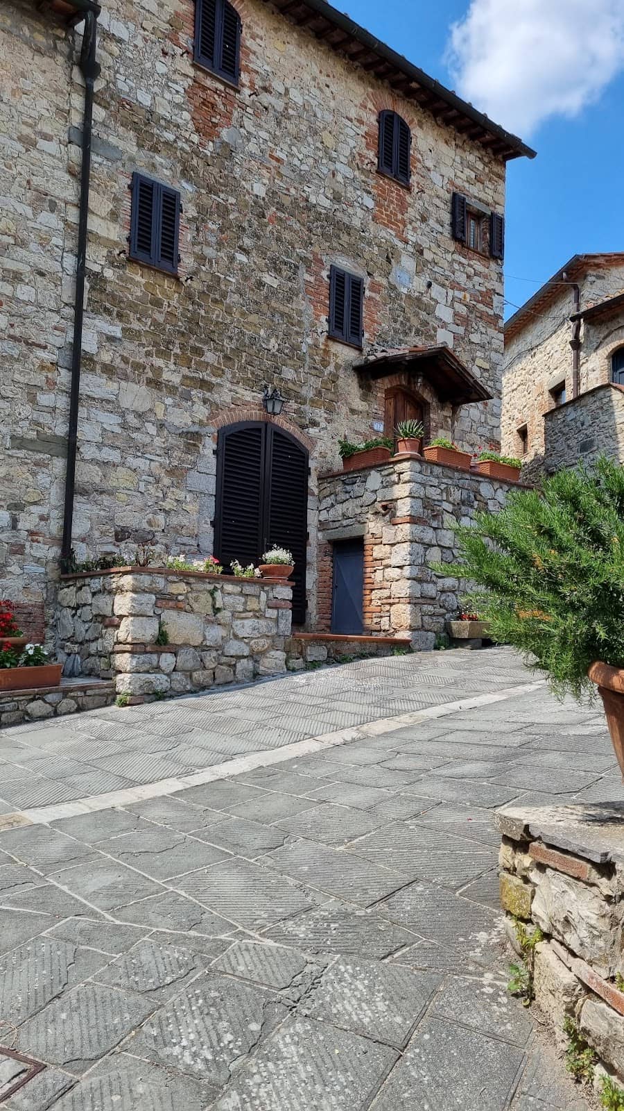 Vertical photo