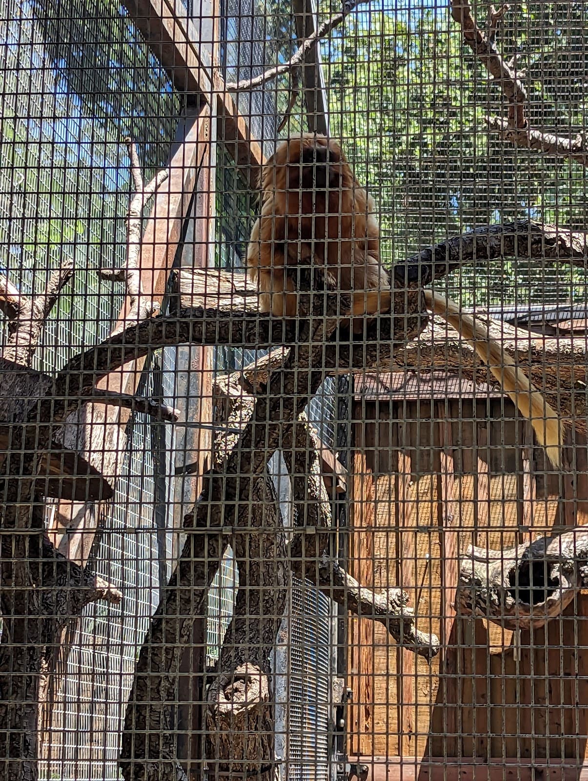 Micke Grove Zoo - Image 1