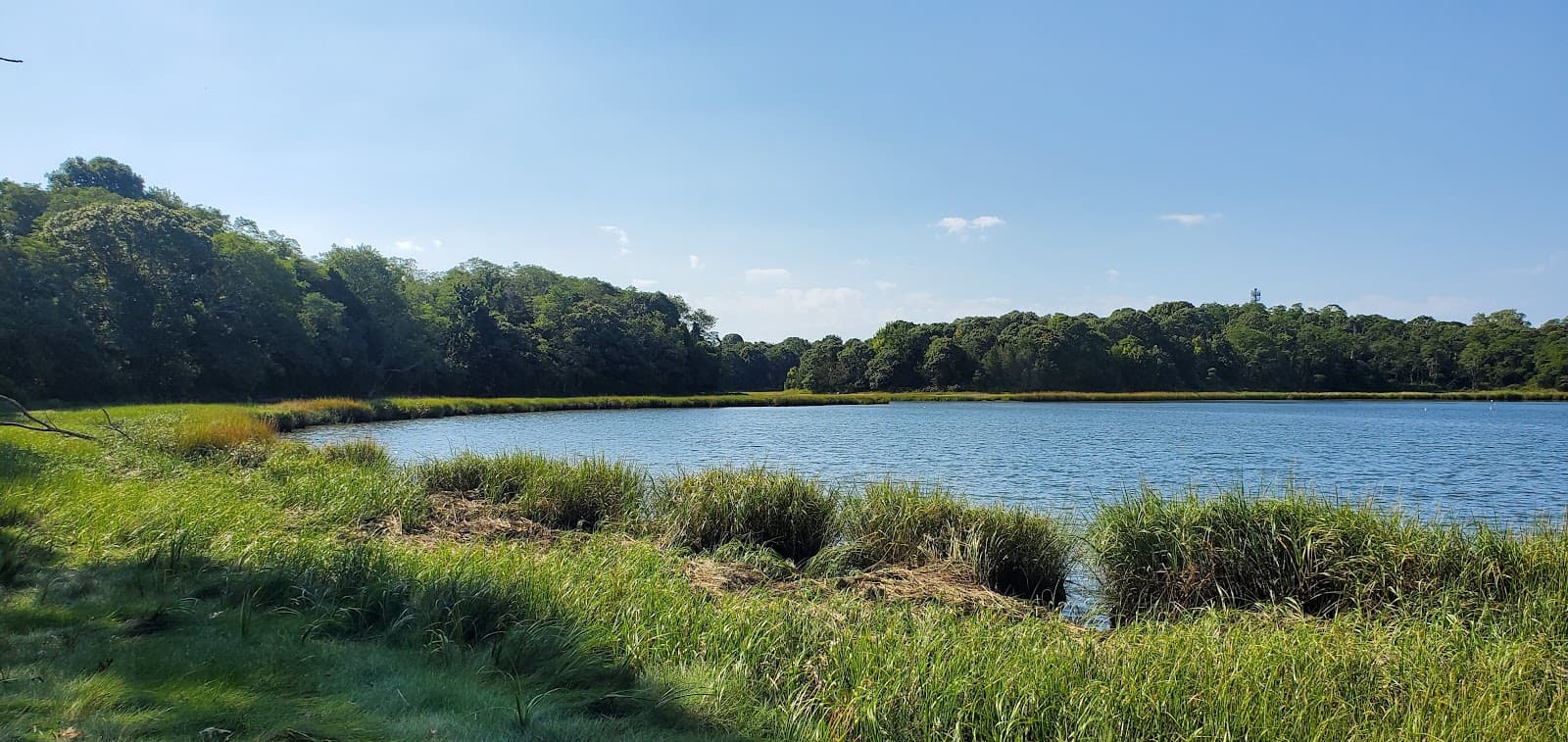 Nauset Marsh Trail - Image 1