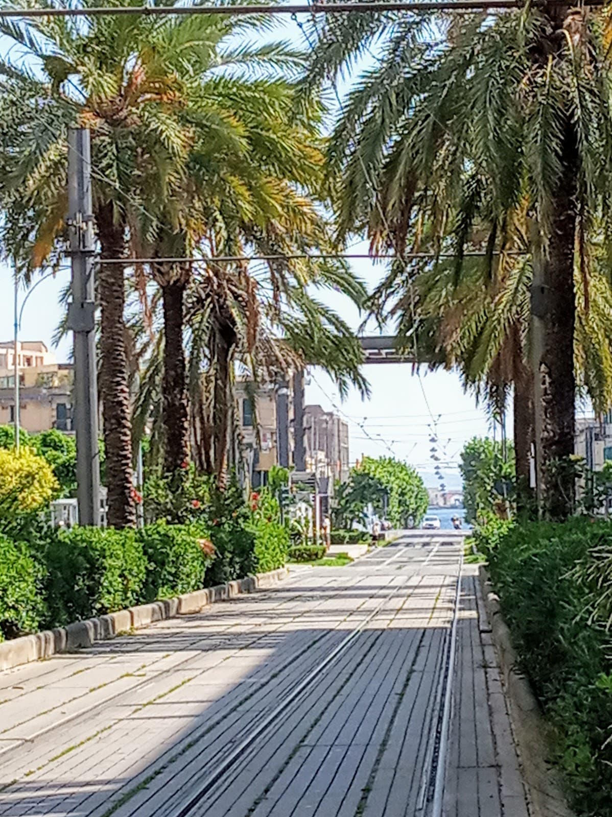 Viale San Martino - Image 1