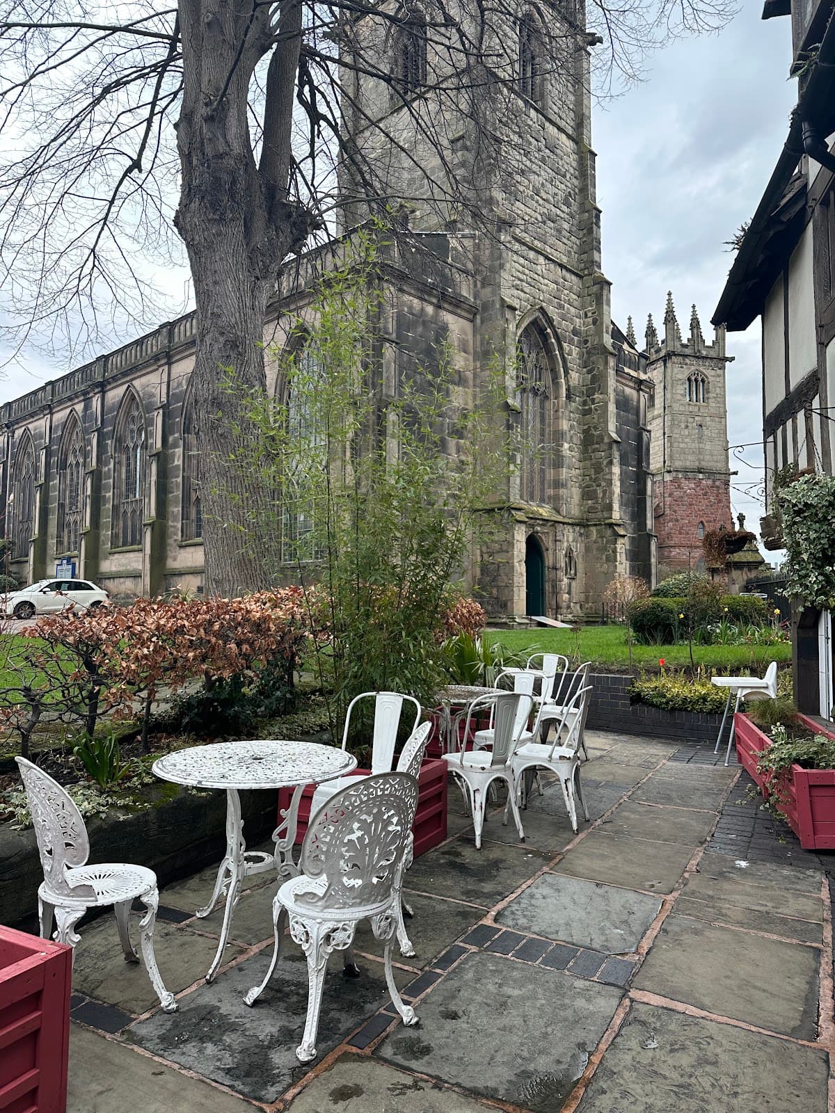 Bear Steps - Image 1