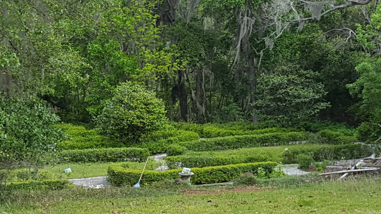 Altama Plantation Wildlife Management Area - Image 1