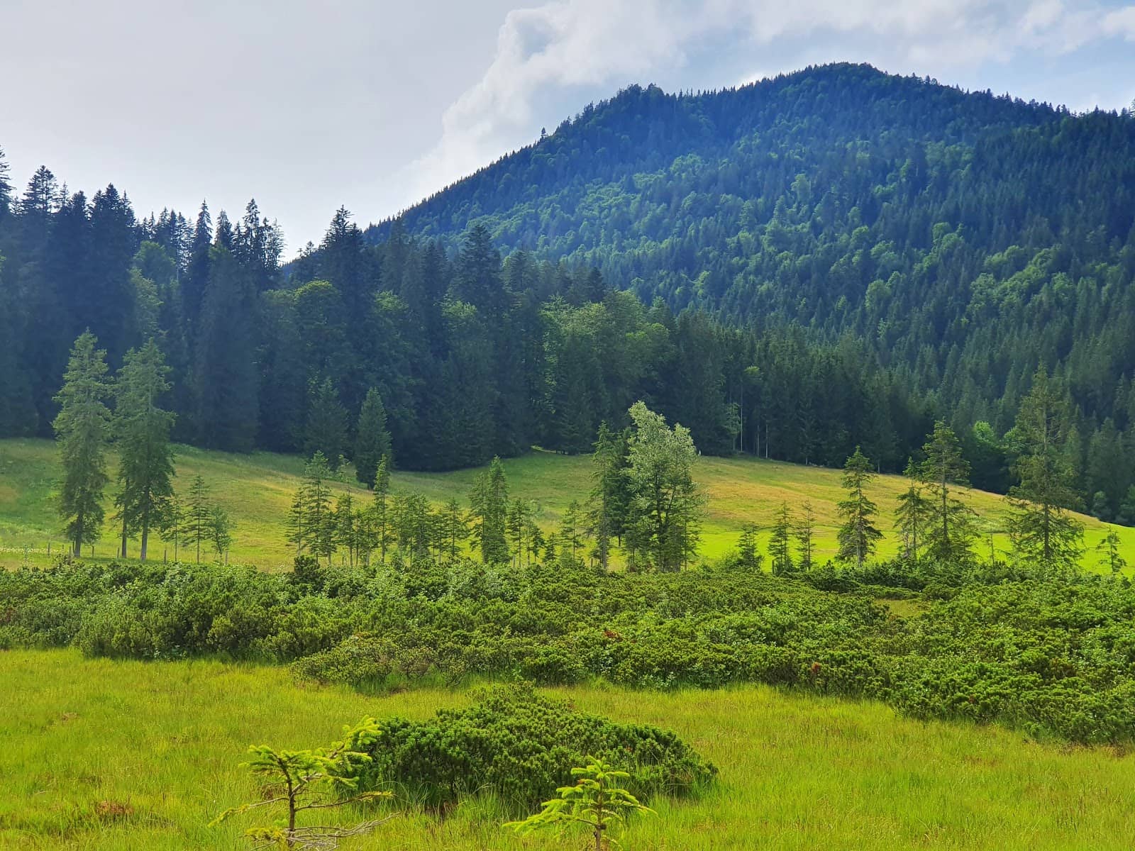 Wappach Valley Route