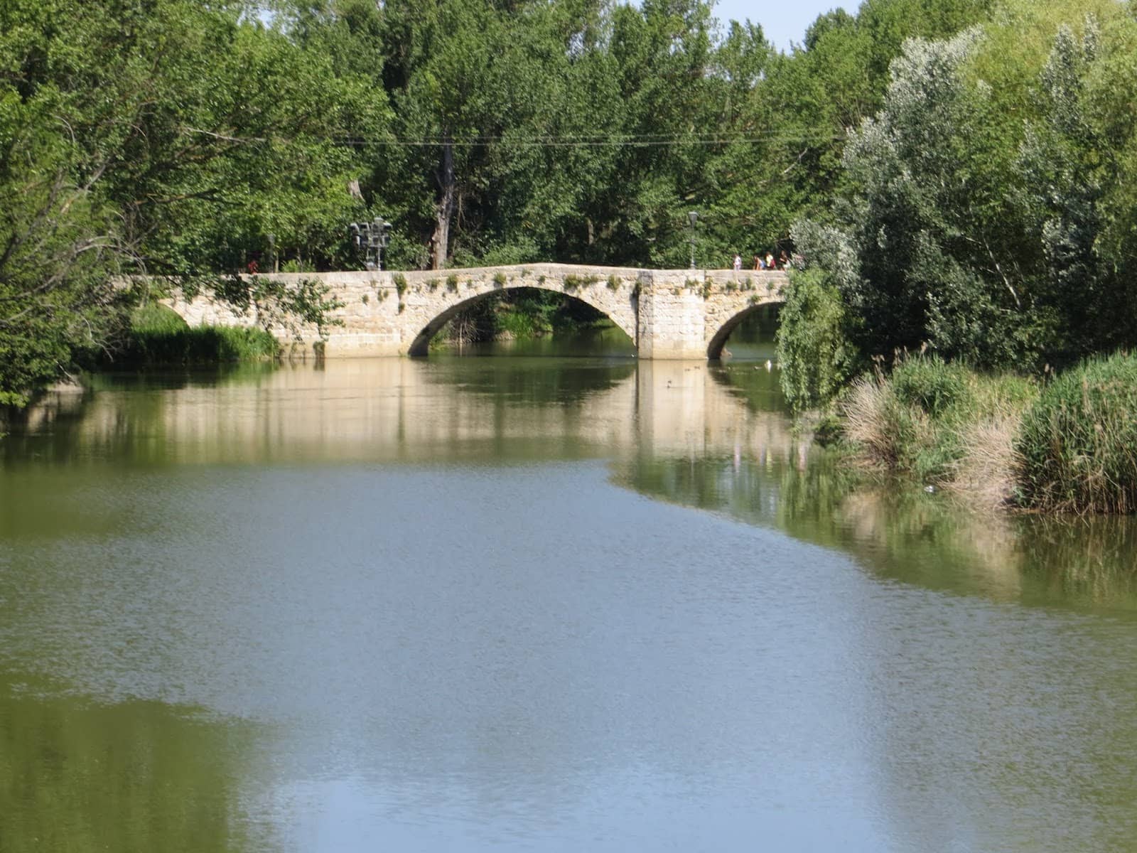 Pedestrian Bridges