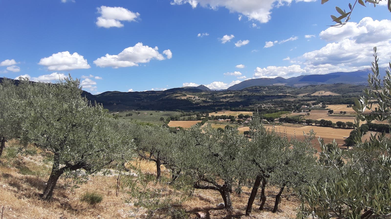 Roman Aqueduct Trail Assisi-Spello - Image 1