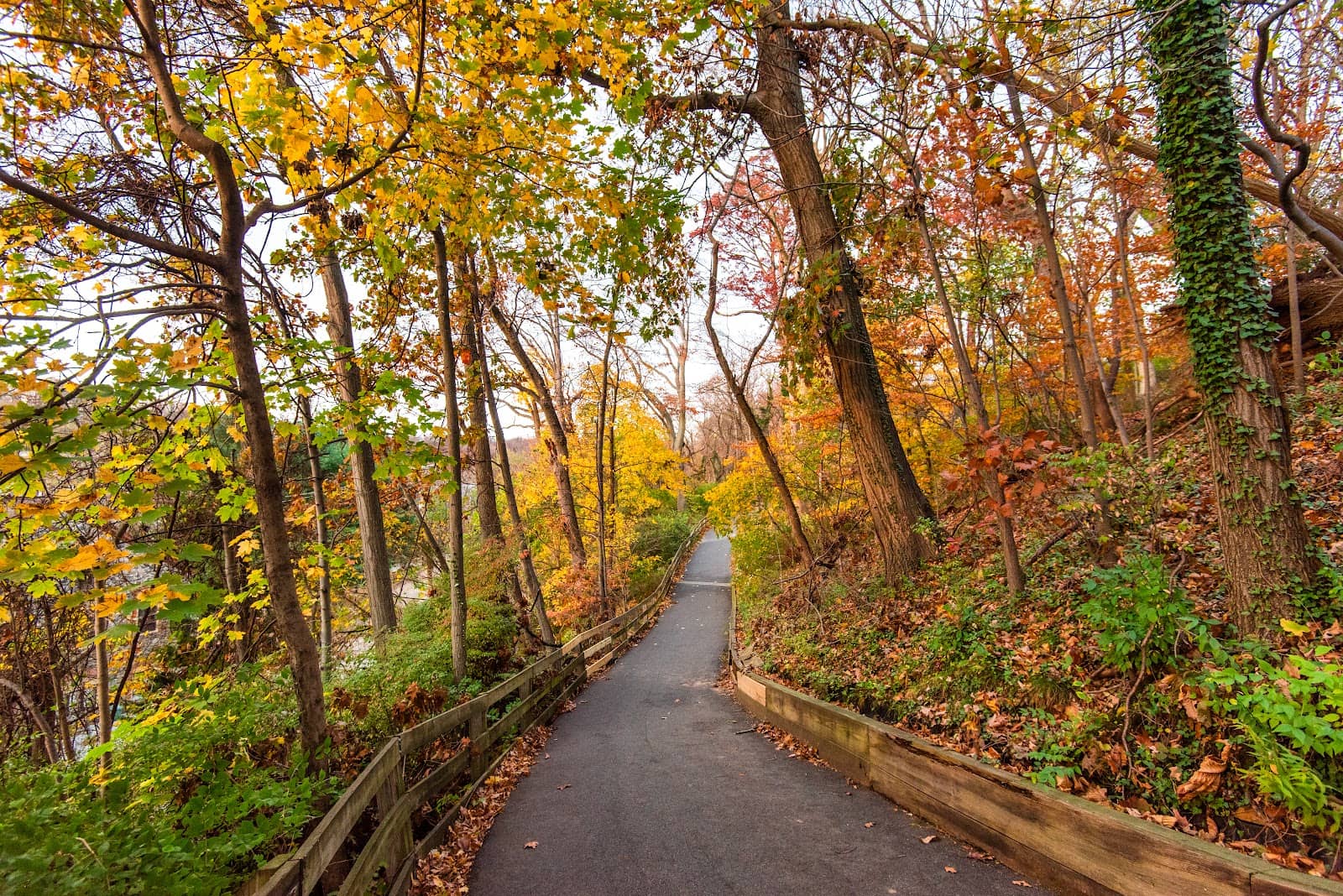 Diverse Flora and Fauna