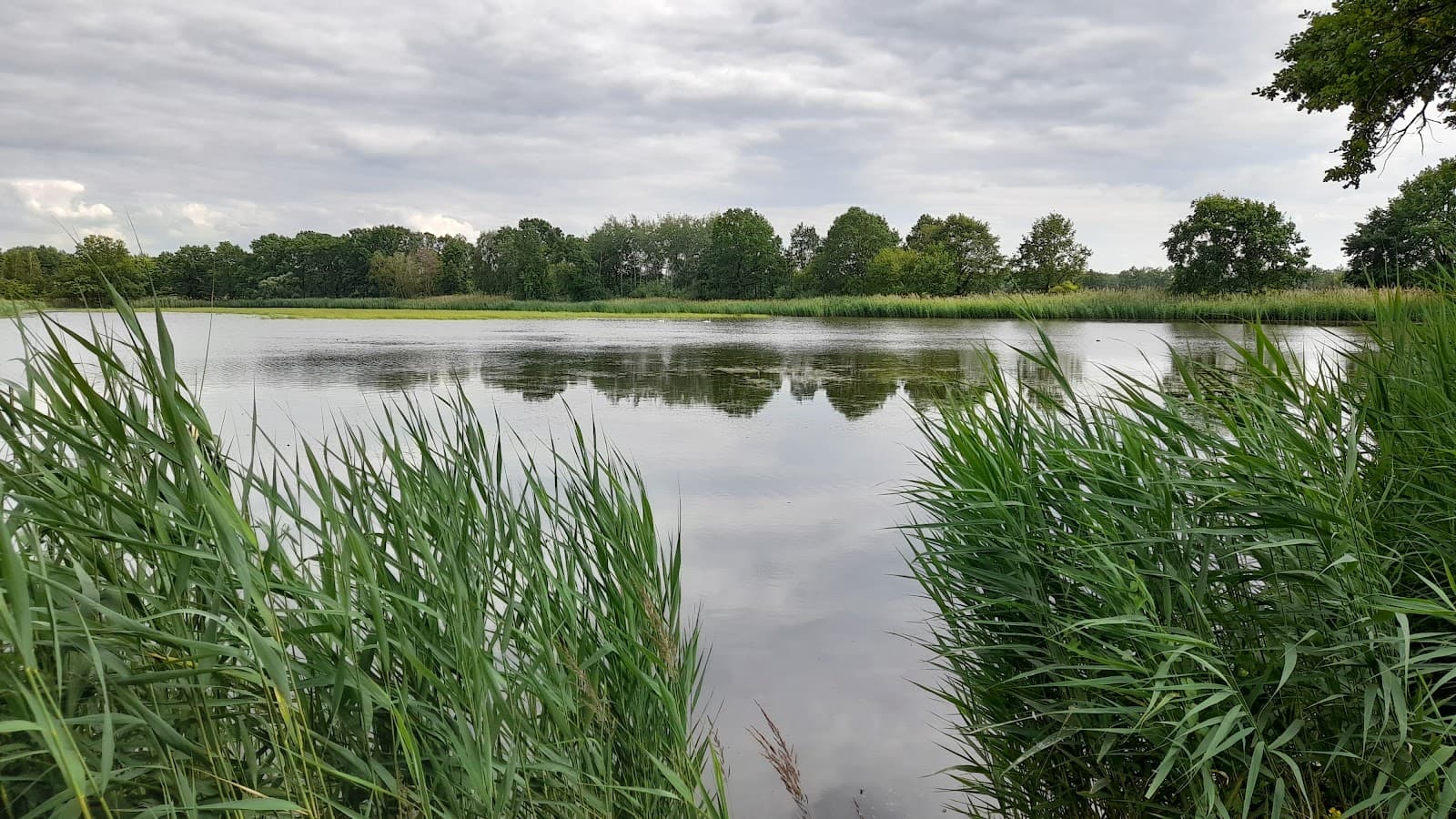 Milicz Ponds Nature Reserve - Image 1