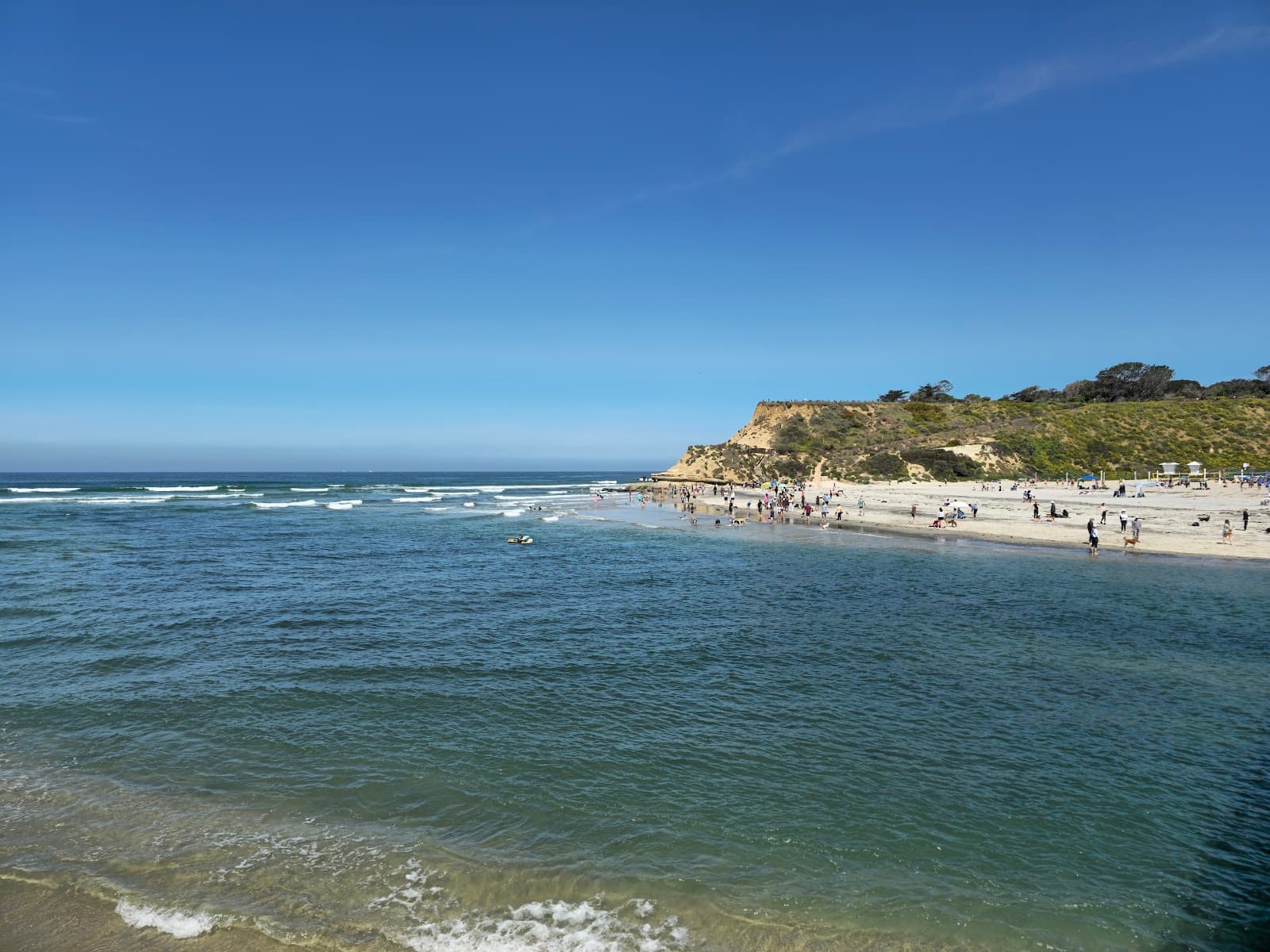 Dog Beach Del Mar California - Image 1