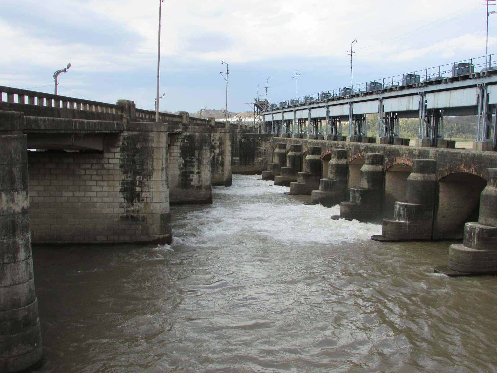 Biodiversity Hotspot