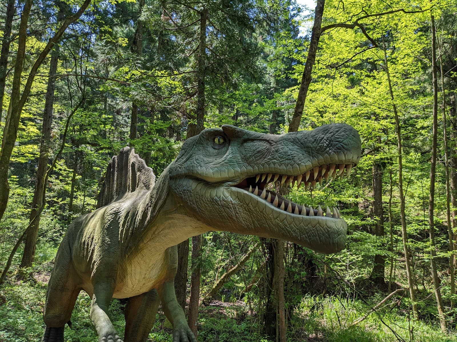 Katsuyama Dino Park - Image 1