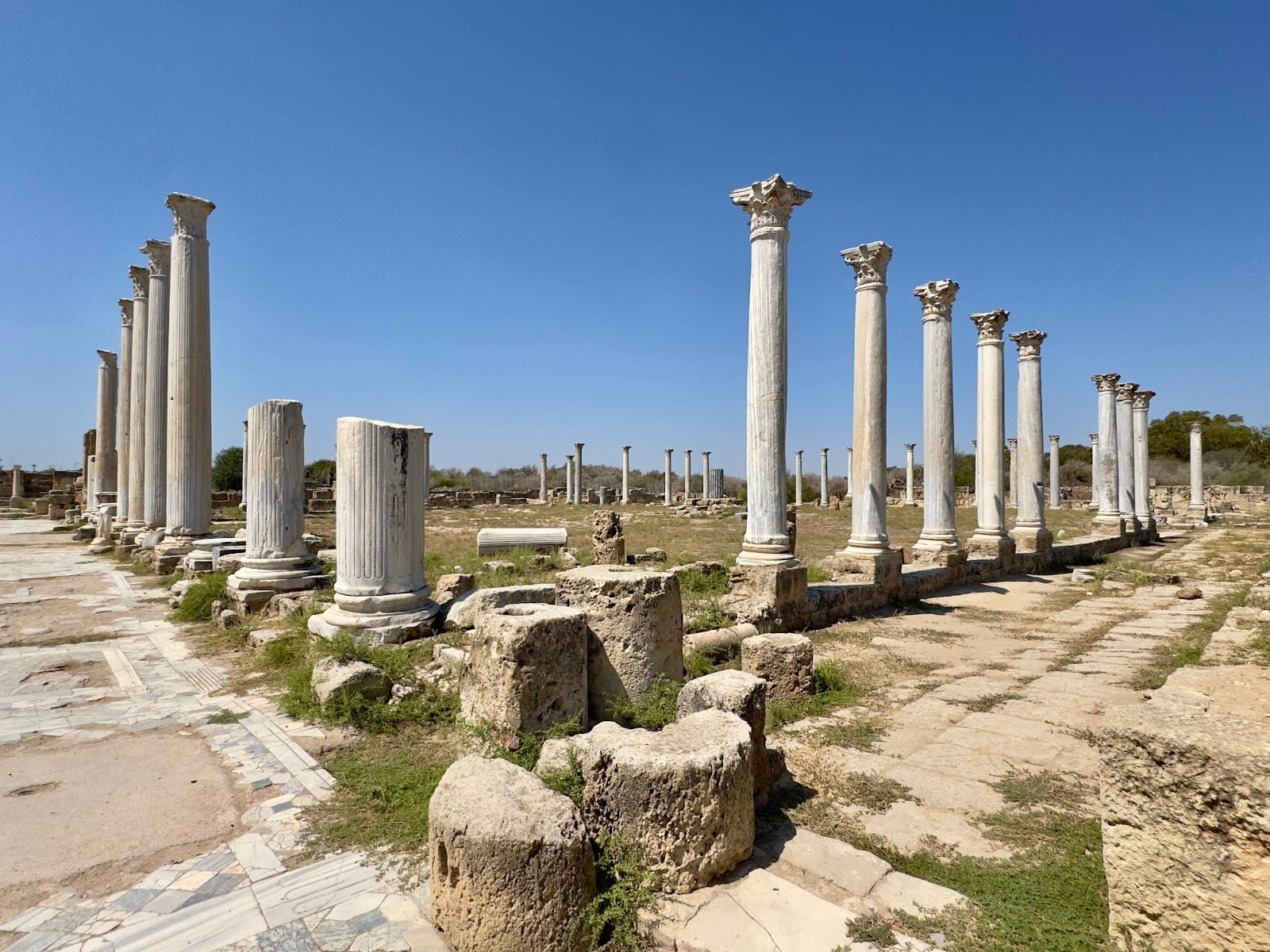 Ancient Salamis Cyprus - Image 1