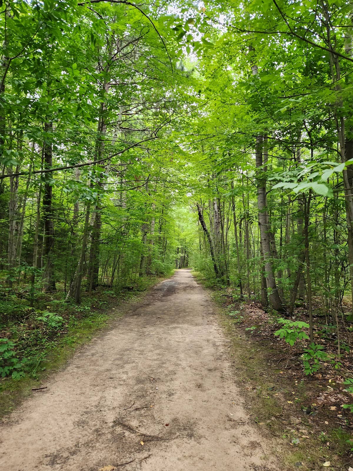 Scenic Hiking Paths