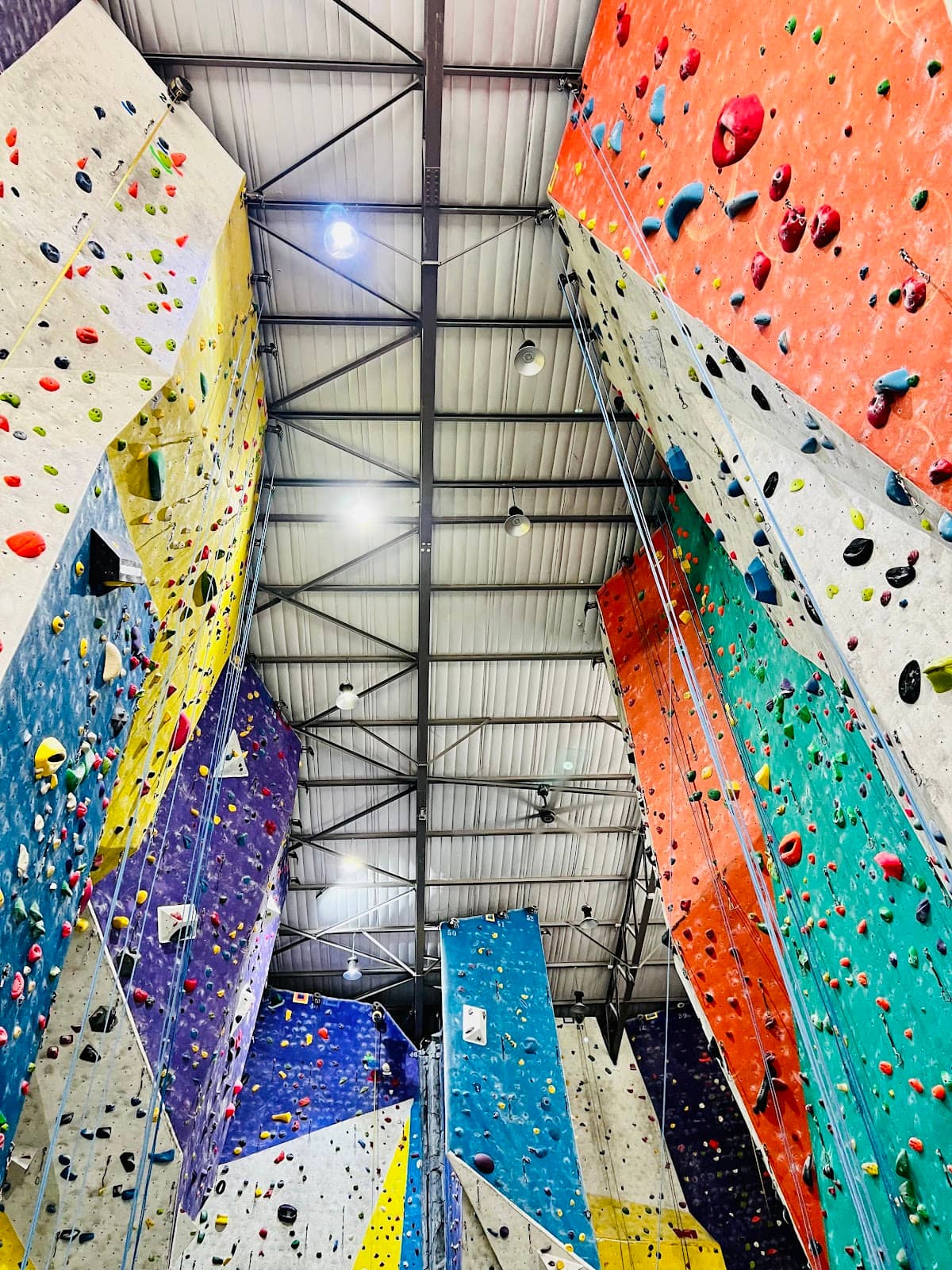 Vertical photo