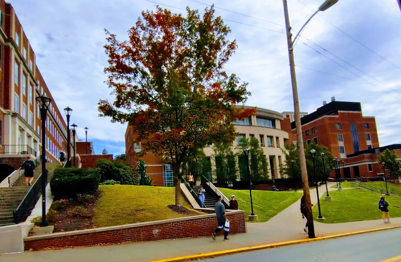 Charles C. Wise Library - Image 1