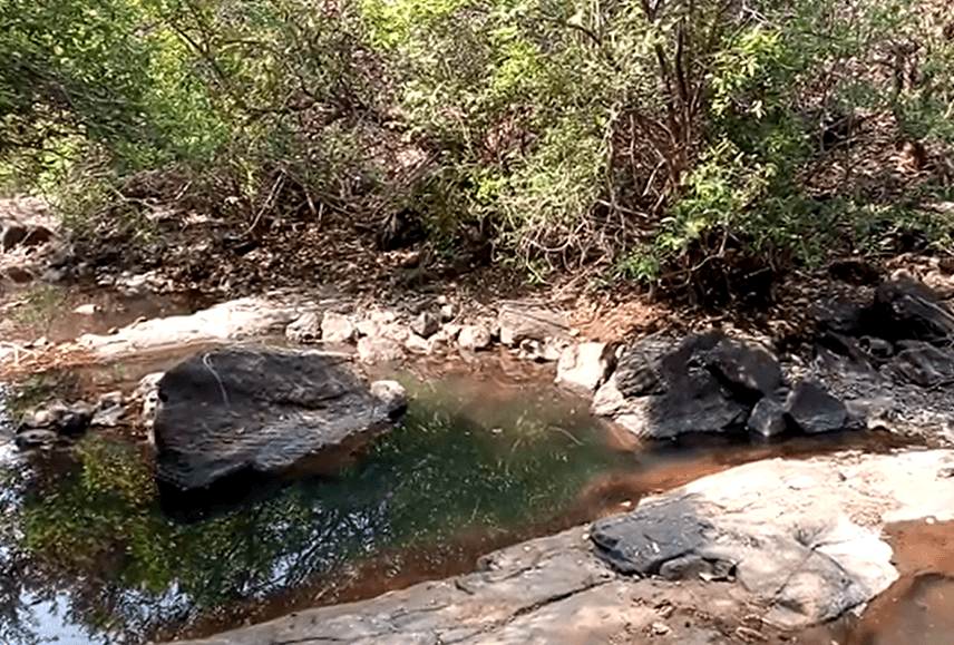 Bhatsa River Valley Viewpoint - Image 1