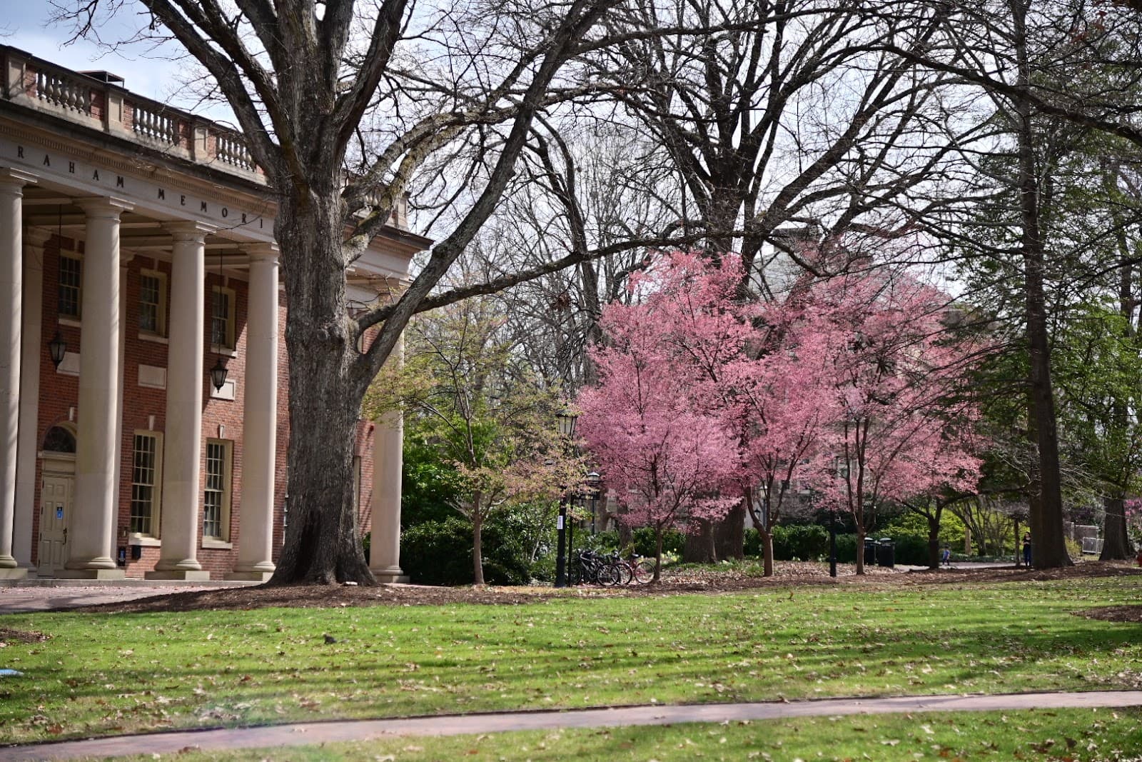 Downtown Chapel Hill - Image 1