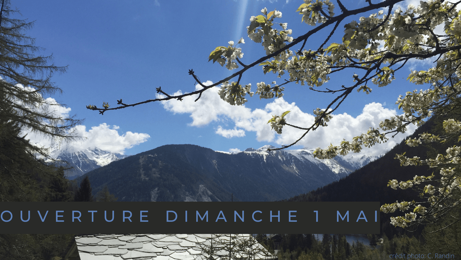 Jardin Botanique Alpin Flore-Alpe Champex Switzerland - Image 1