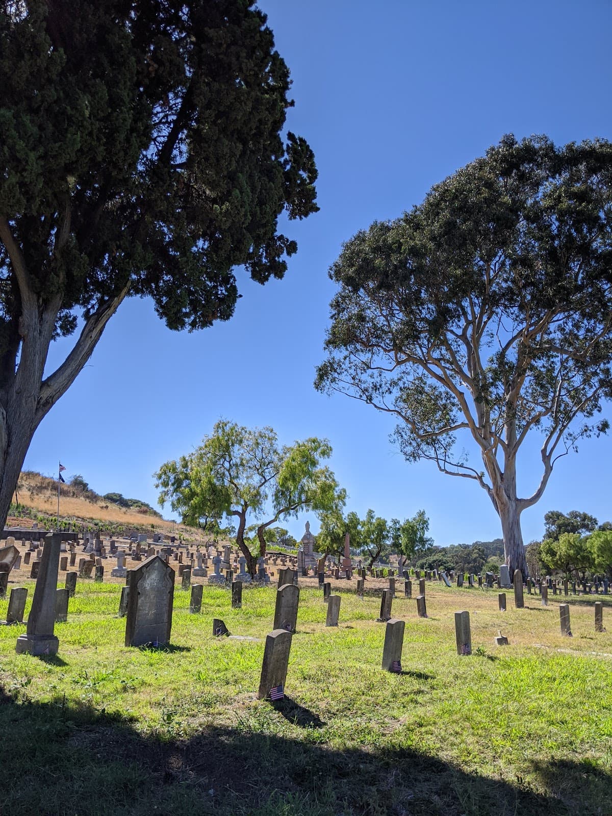 Mare Island Shoreline Heritage Preserve - Image 1