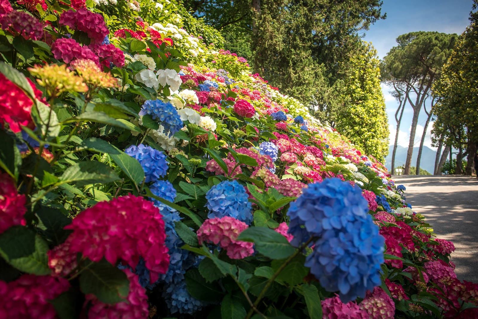 Villa del Grumello Como - Image 1