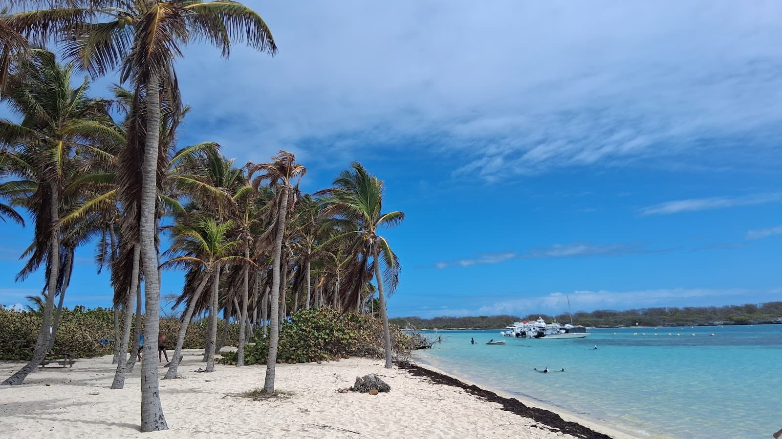 Petite-Terre Nature Reserve - Image 1
