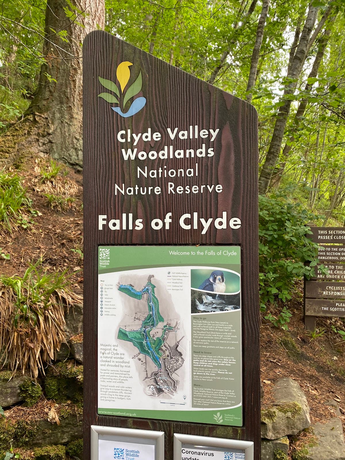 Falls of Clyde Nature Reserve - Image 1