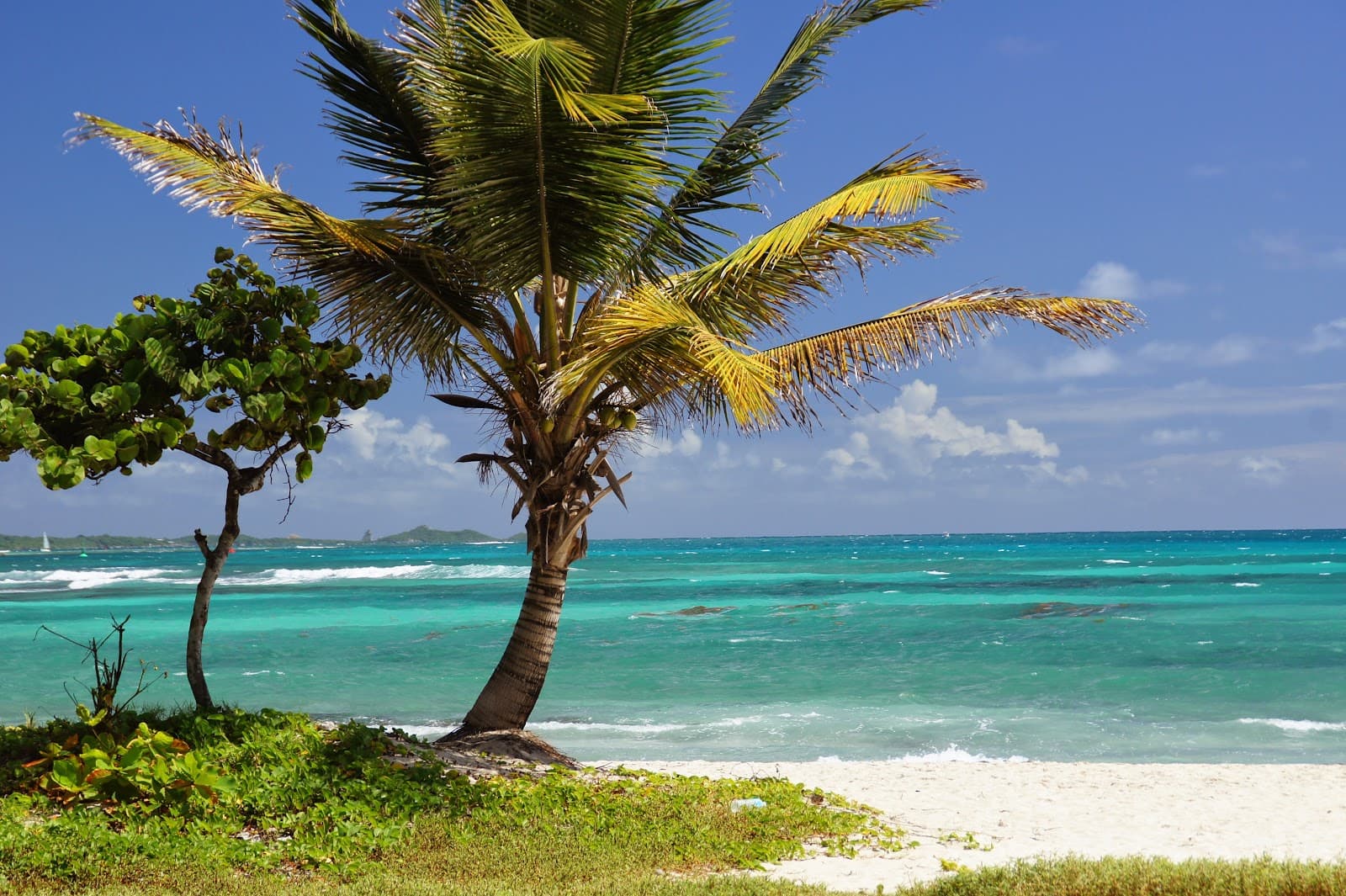 Centre-ville Saint-François - Image 1