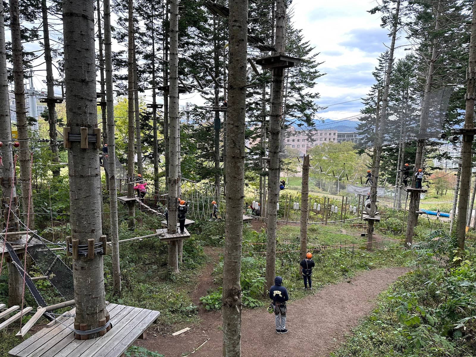 Zip Lines