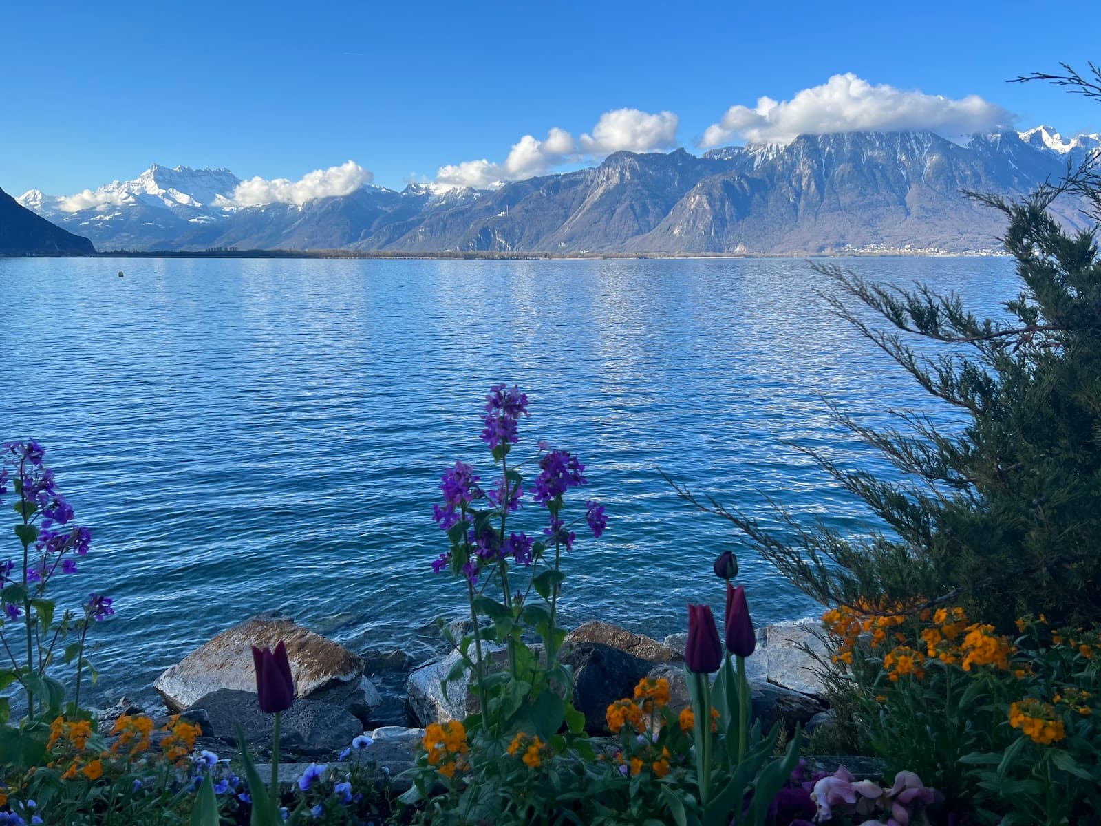 Lakeside Promenade Montreux - Image 1