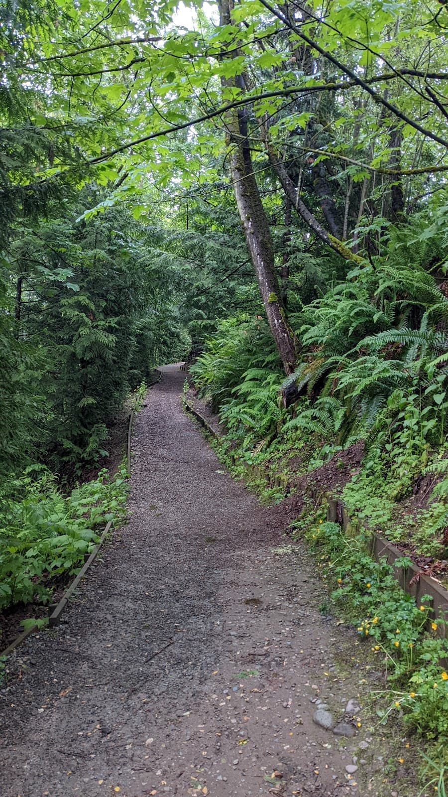 Downes Bowl Nature Trail - Image 1