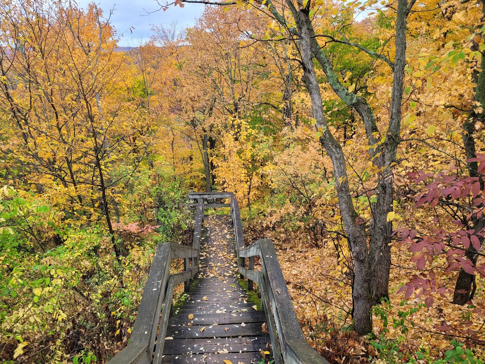 Vertical photo