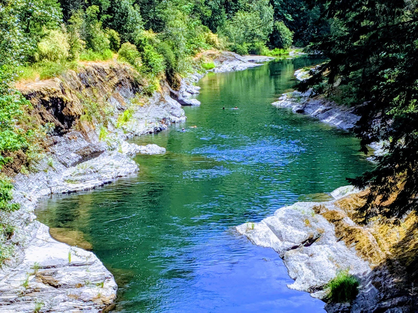 Cowichan River Provincial Park - Image 1