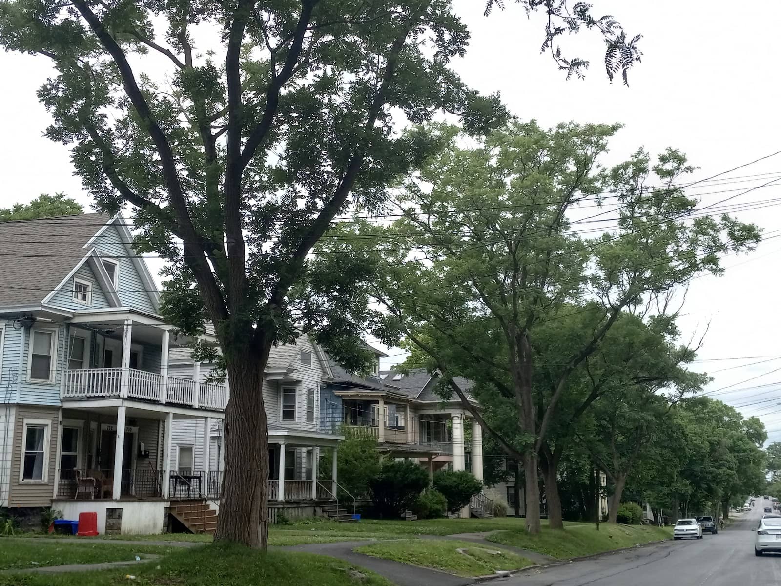 Westcott Neighborhood Charm