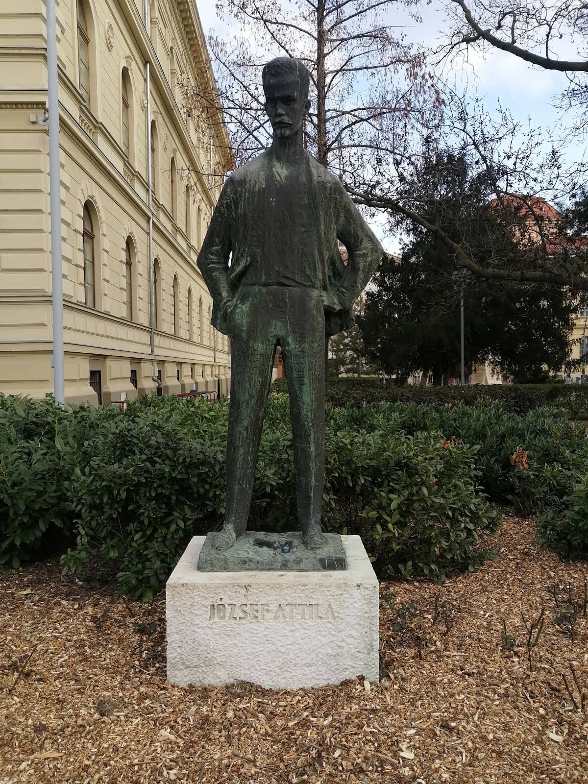 Vertical photo