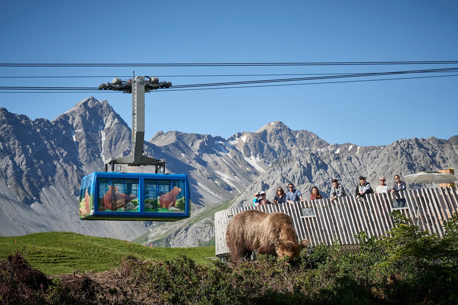 Arosa Bear Sanctuary - Image 1